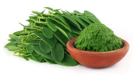 How to Use Moringa Powder: Your Questions Answered by Zen Principle