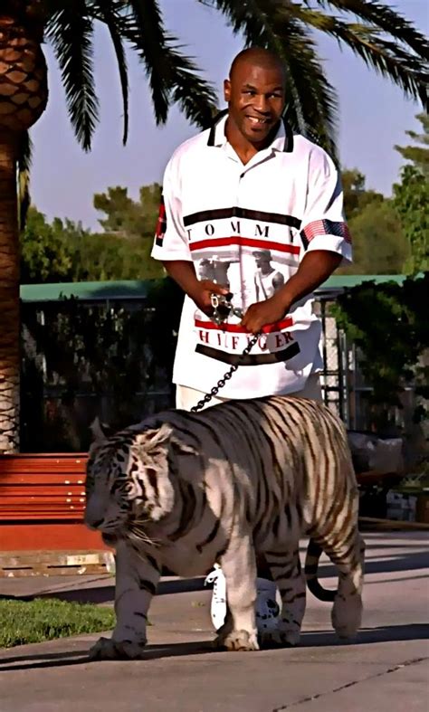 This Is Why Mike Tyson Is Selling His Tiger Pet!! | Rap aesthetic, Mike tyson, Mike tyson boxing