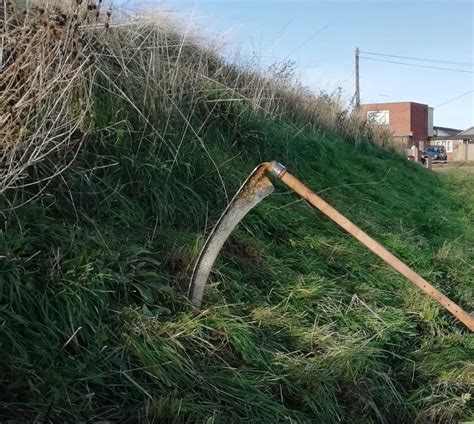 Choosing scythe blades for rough mowing - Wild Scythe