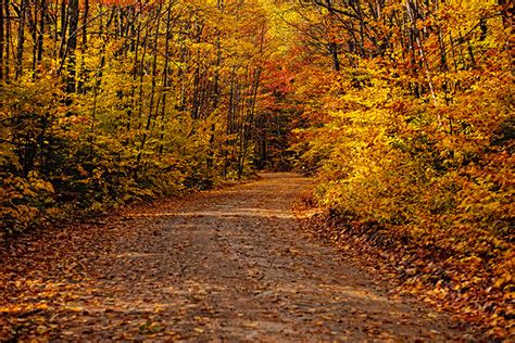 Fall Foliage in Baxter State Park | Baxter State Park, Millinocket, Maine | Vincent Mistretta ...