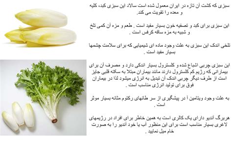 Pezeshke Bartar پزشک برتر: Endive health benefits