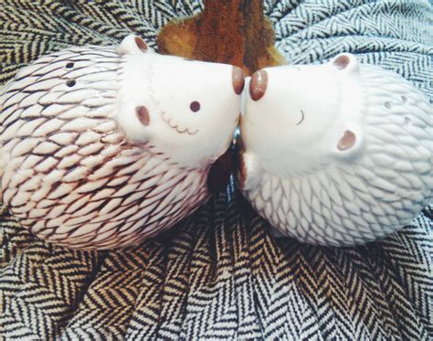 Hedgehog Salt & Pepper Shakers | Hedgehog, Engagement gifts, Shakers