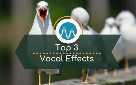 Top 3 Vocal Effects In Adobe Audition