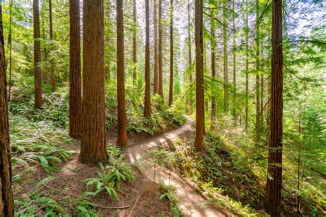 25+ EPIC Hikes Near Portland That Prove We Live in an Outdoor Paradise