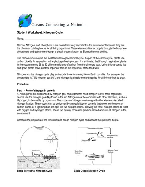 nitrogen cycle worksheet