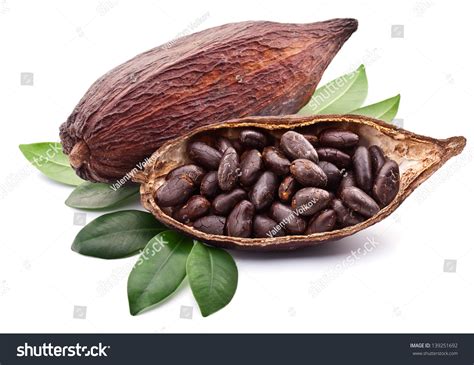 92,351 Cocoa Beans Stock Photos, Images & Photography | Shutterstock