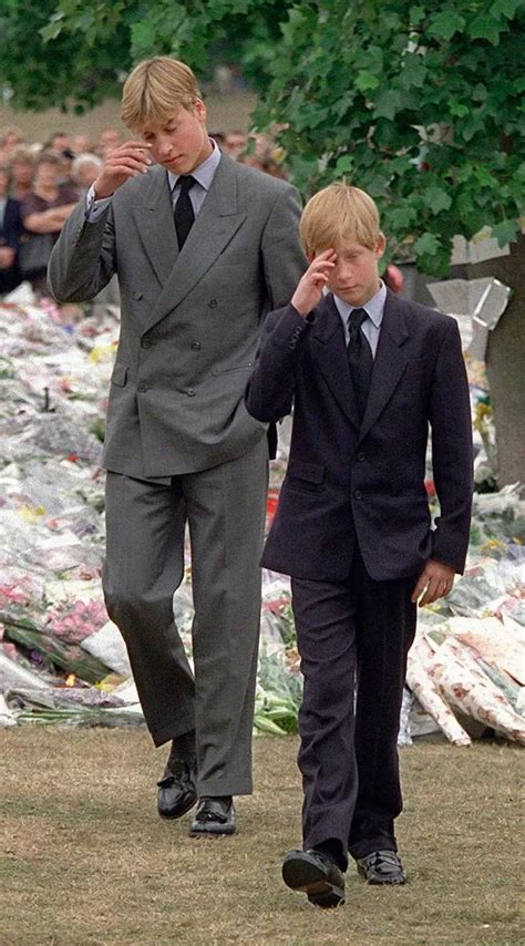 Prince William and Harry 'couldn't understand' why Diana funeral ...