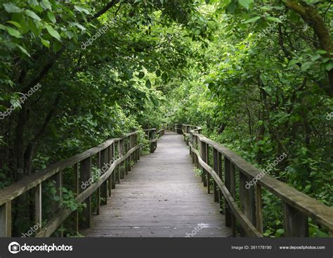 Magee Marsh Birding Trail Boardwalk Toledo Ohio: fotografía de stock © vagabond54 #361178190 ...