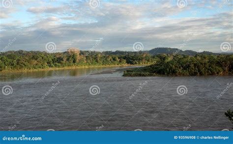 The amazon stock photo. Image of rainforest, tributaries - 93596908