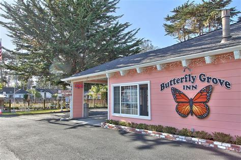 Butterfly Grove Inn in Pacific Grove | Pacific grove, City of monterey, Grove