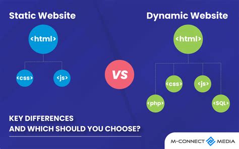 Static Vs Dynamic Website: Key Differences, and Which Should you Choose?