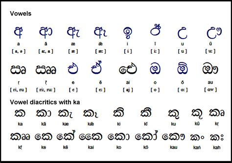 Basic Sinhala Language Sinhala Tamil Language Learn E - vrogue.co