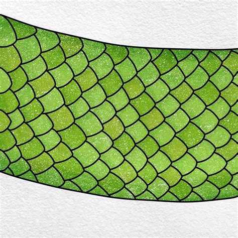 How to Draw Snake Scales - HelloArtsy