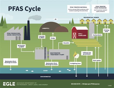 PFAS 'forever chemicals' are widespread and threaten human health – here's a strategy for ...