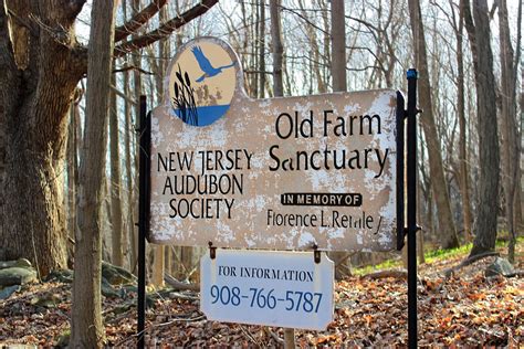 Free Images : tree, hiking, sign, spring, community, season, creativecommons, newjersey ...