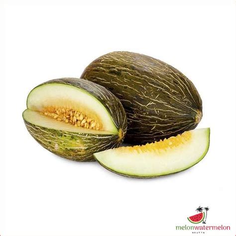 Discover the Arara Melon: Your Guide to this Unique Fruit - [Updated ...