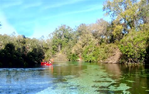 Kayaking the Freshwater Rivers of Florida for fun and tranquility.