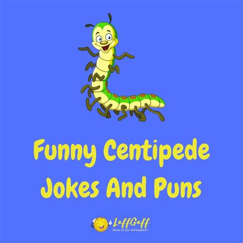 25+ Hilarious Centipede Jokes And Puns! | LaffGaff