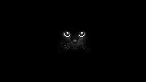 cat, Eyes, Black Cats, Animals, Nightmare, Night Wallpapers HD / Desktop and Mobile Backgrounds