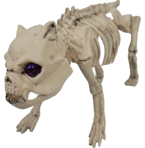 Pug Skeleton