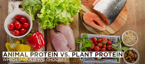 Animal Protein vs. Plant Protein: Which Should We Choose? - Garage Gym Planner