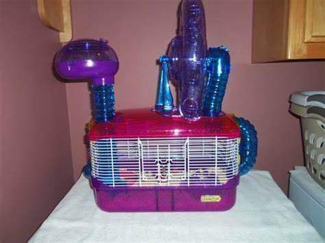 Fancy Russian Dwarf Hamster, Cage, and Accessories for Sale in De Pere, Wisconsin Classified ...