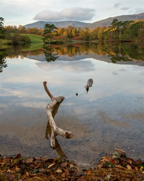 Image of Tarn Hows, Lake District | 1015897