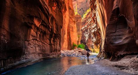 The Narrows hike in Zion National Park: the complete guide