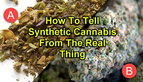 How To Tell Synthetic Cannabis From The Real Thing