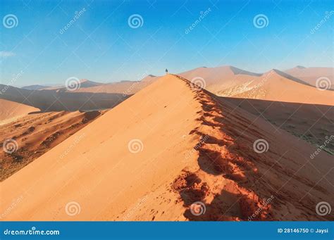 Sunrise Dunes of Namib Desert, South Africa Stock Photo - Image of reserve, african: 28146750