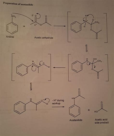 Solved Can somebody explain a detailed mechanism of | Chegg.com