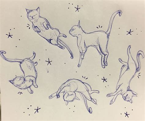 Flying Cat Pattern Idea