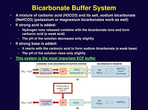 Bicarbonate Buffer Formula