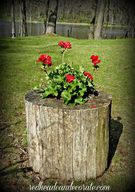 DIY Stump Flower Planter | Flower planters, Tree stump planter, Garden containers