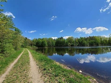 Rose Lake Is A Nature Lover's Dream In Michigan - Only In Your State