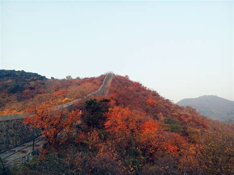 Red Leaves Festival at Fragrant Hill in Beijing 2024 - Rove.me