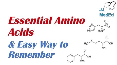 Do Beans Have All Essential Amino Acids at James Winter blog