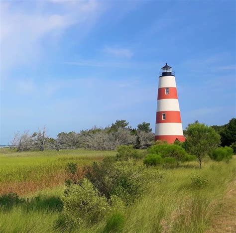 Sapelo Island: Georgia’s Most Fascinating Barrier Island – Molly's Old South Tours