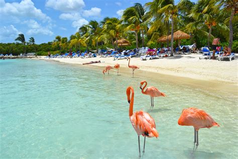 Aruba, antille olandesi: l’isola dove non piove mai