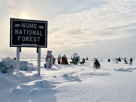 Alaska Magazine | Nome National Forest