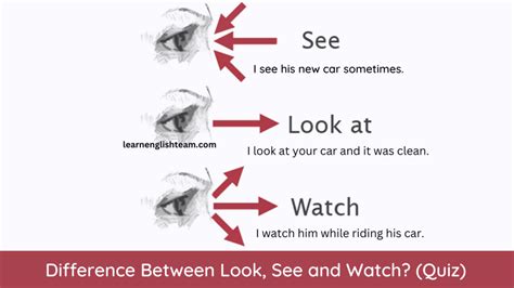 Difference Between Look, See and Watch (Exercise Quiz)