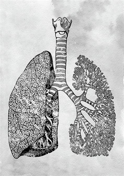 Lungs Art x by Erzebet S in 2021 | Lungs art, Art, Anatomy art