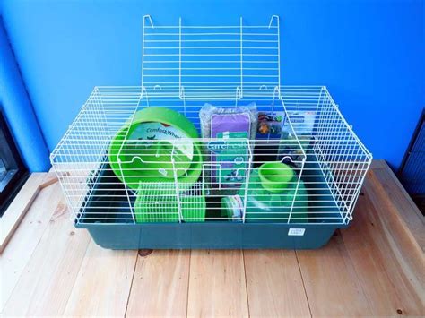 Starter Cage Setup | Hedgehog pet, Cage, Starter