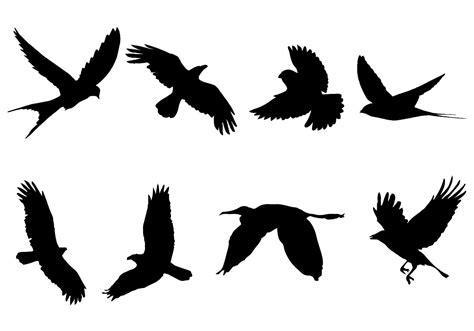 Free Flying Bird Silhouette Vector | Flying bird silhouette, Bird ...