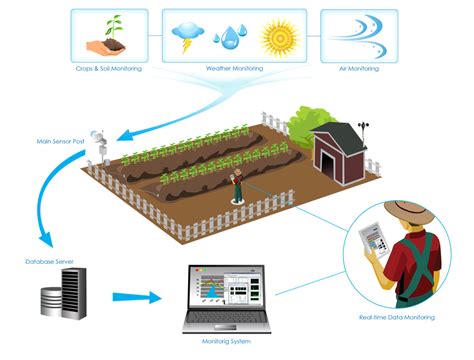 Precision Agriculture | IOT Philippines Inc. | +63 7621-6347 IOT ...