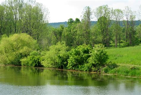 Escape From Isolation and Enjoy The Fresh Air at Open Land Conservancy ...