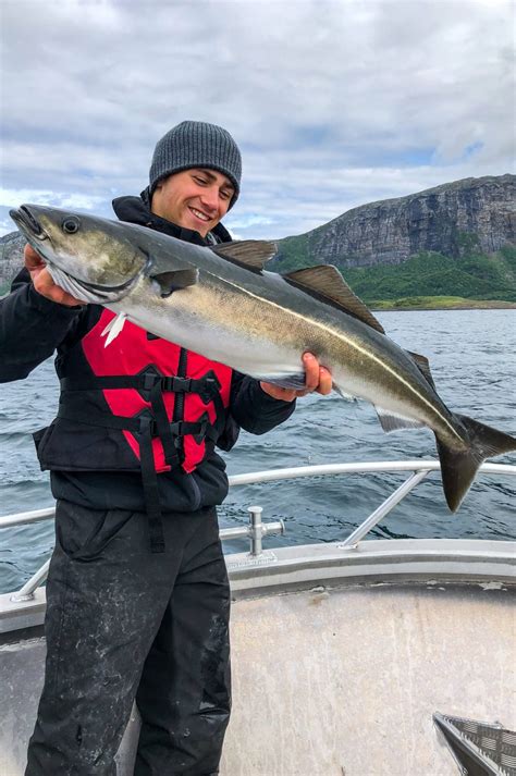 Saltstraumen Fishing Holiday | Bodo | Northern Norway