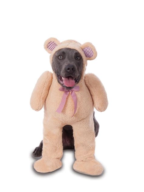 Big Dog - Teddy Bear - Walking Costume for Pets - Walmart.com - Walmart.com