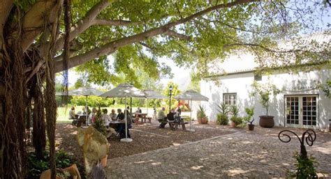 Blaauwklippen Varsmark | Places to visit, Colonial style, Produce wine