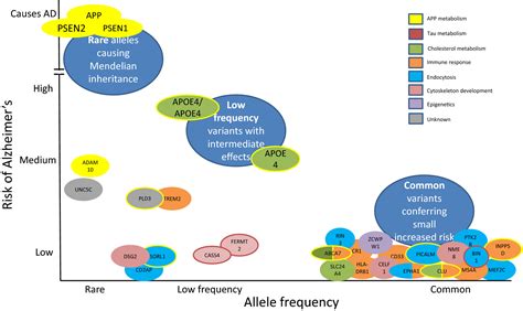 Alzheimer's disease - Lane - 2018 - European Journal of Neurology - Wiley Online Library